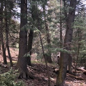 Meet your Posher, Nataly